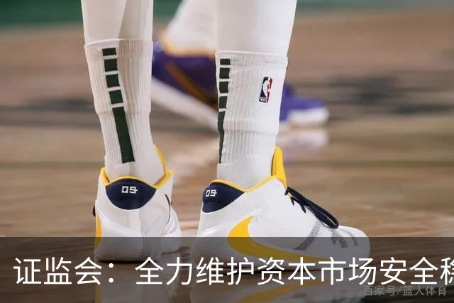 证监会：全力维护资本市场安全稳定